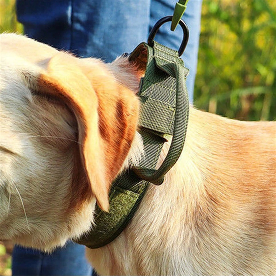 Personalized Tactical Dog Collar high quality