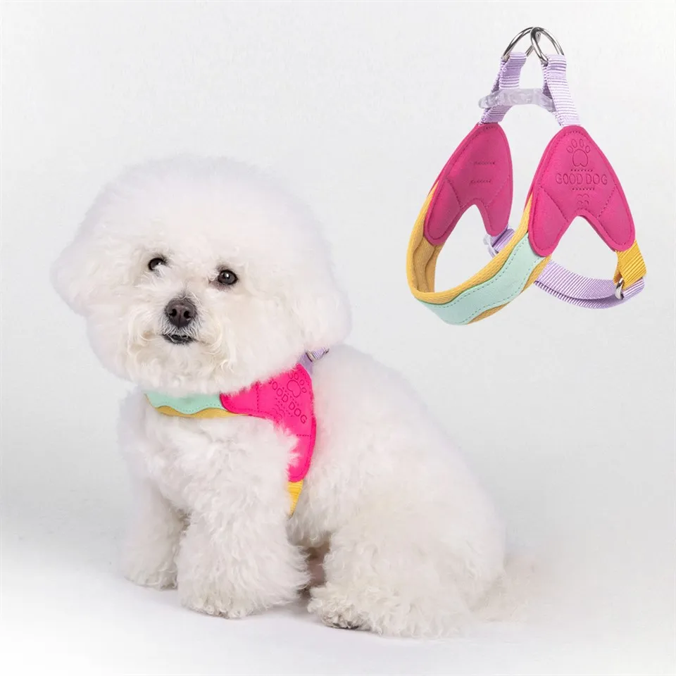 Arreios para cachorros para cães pequenos