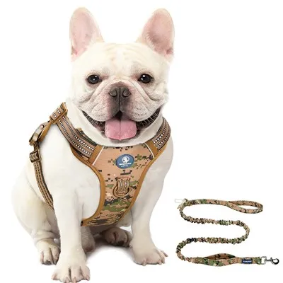 Arnês de almofada básica e guia para cães