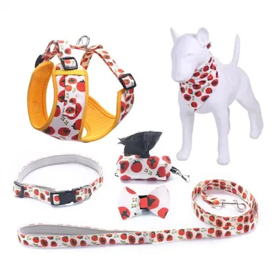 Conjunto de seis peças para animais de estimação personalizados