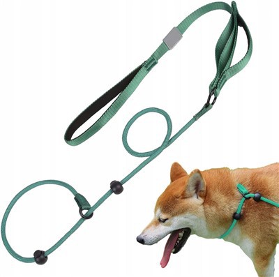 Trela ​​deslizante para treinamento de cães