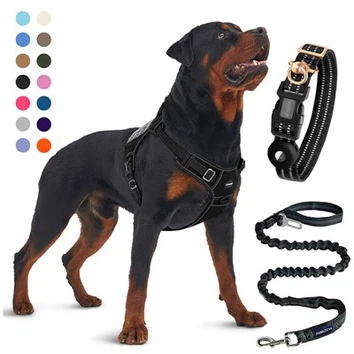 Conjunto completo para animais de estimação com arnês, guia e coleira